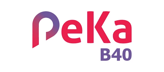 PeKa B40